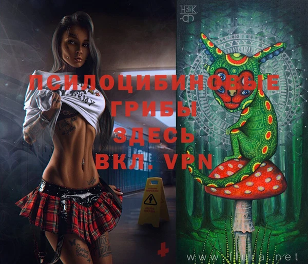 молекула духа Козловка