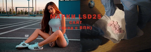 ГАЛЛЮЦИНОГЕННЫЕ ГРИБЫ Кодинск