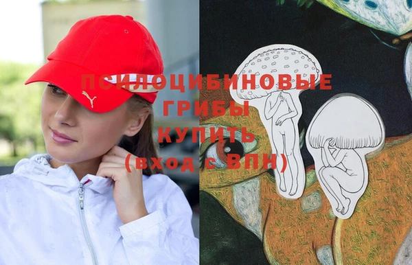 a pvp Киреевск