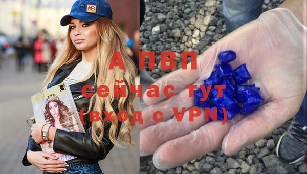 ГАЛЛЮЦИНОГЕННЫЕ ГРИБЫ Кодинск