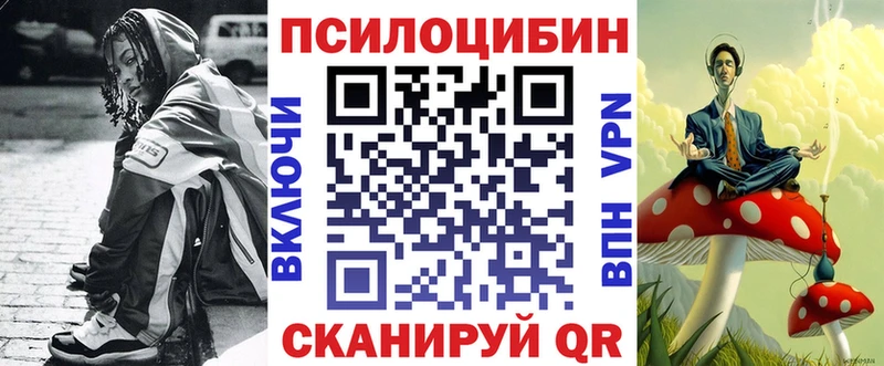 Купить где Аткарск Псилоцибиновые грибы Psilocybe